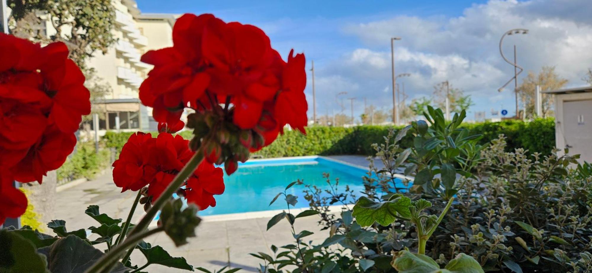 Park Hotel Rimini Esterno foto